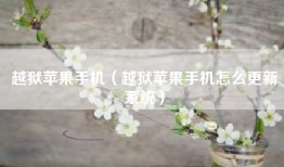 越狱苹果手机（越狱苹果手机怎么更新系统）