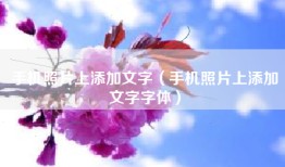 手机照片上添加文字（手机照片上添加文字字体）