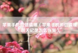 苹果手机微信清理（苹果手机微信清理聊天记录怎么恢复）