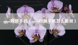 oppo双屏手机（oppo双屏手机怎么截屏）