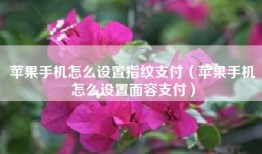 苹果手机怎么设置指纹支付（苹果手机怎么设置面容支付）