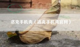 洛克手机壳（洛克手机壳官网）