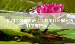 手机用什么输入法（手机用什么输入法打字有拼音）