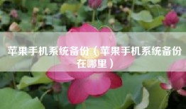 苹果手机系统备份（苹果手机系统备份在哪里）