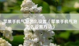 苹果手机气泡怎么设置（苹果手机气泡怎么设置方法）