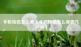 手机短信怎么查（手机短信怎么查燃气户号）