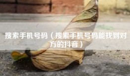 搜索手机号码（搜索手机号码能找到对方的抖音）