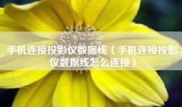 手机连接投影仪数据线（手机连接投影仪数据线怎么连接）