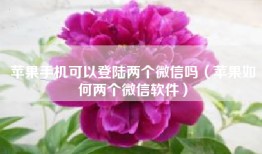 苹果手机可以登陆两个微信吗（苹果如何两个微信软件）