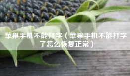 苹果手机不能打字（苹果手机不能打字了怎么恢复正常）